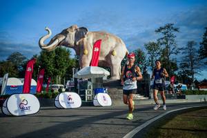 BIB: 
                            <button type="button" onclick="openModal(26541618)" class="btn btn-primary btn-sm float-right btn-popup" data-toggle="modal" data-target=".modal-high-quality">
                        <i class="fas fa-shopping-cart"></i> Add to Cart
                    </button>
                                            <button type="button" onclick="isThisMe(26541618, true)" class="btn btn-success btn-sm float-right btn-popup btn-isme hidden" data-toggle="tooltip" data-placement="bottom" title="นี่คือรูปของคุณใช่ไหม คลิกที่นี่เพื่อเอาเข้าอัลบั้ม">
                        <i class="fas fa-plus"></i> Add to album
                    </button>
                    <button type="button" onclick="isThisMe(26541618, false)" class="btn btn-warning btn-sm float-right btn-popup btn-isnotme hidden">
                        <i class="fas fa-ban"></i> Remove from album
                    </button>